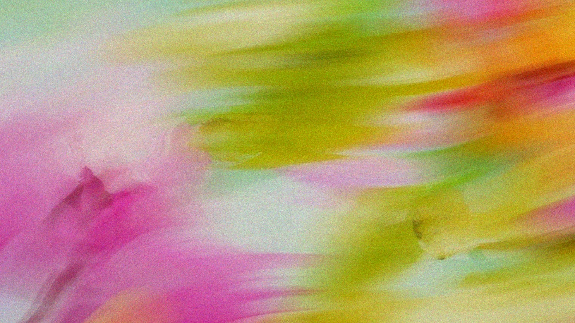 Fraser Coast Expo Giveaway Winner