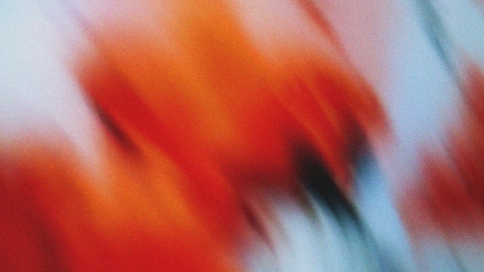 Custom Form Builder Background