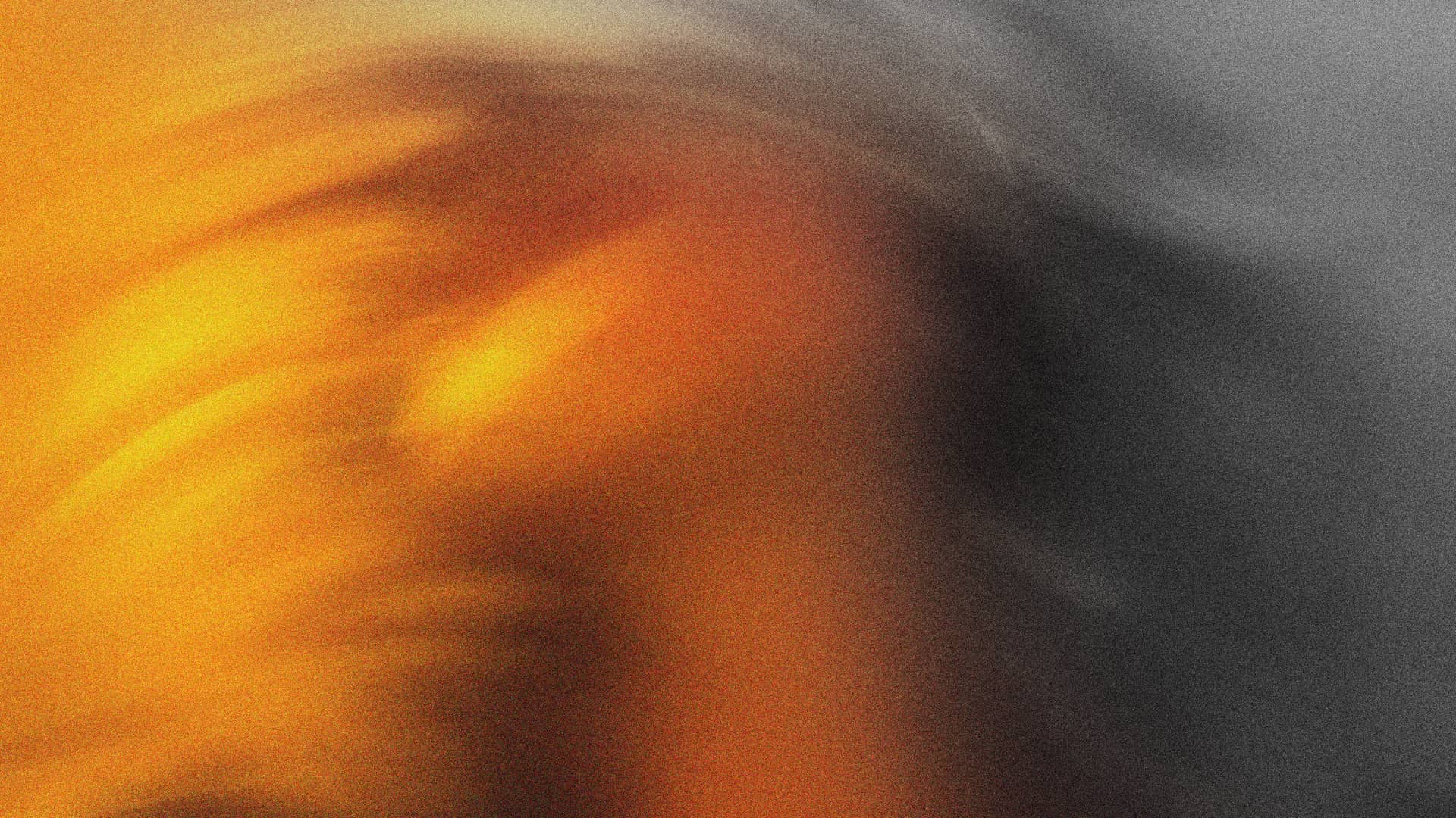 Regional Disability Expo