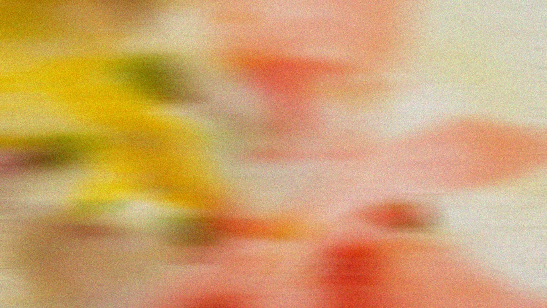 Queensland's New Child Safe Standards: A Guide for Your Organisation